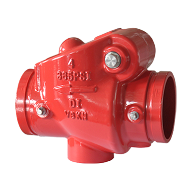 Ductile Iron Swing Check Valve, Resilient Seated, Flanged-Grooved Ends, 365 PSI