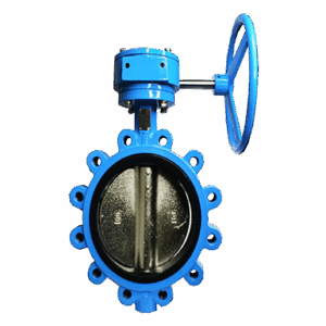 Ductile Iron Butterfly Valve, Fully Lugged, EPDM Seat, Gear Operated, PN25