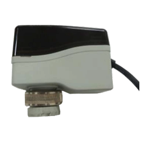 Electric Actuators
