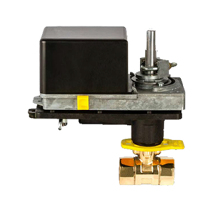 2-Way Actuated Control Valves