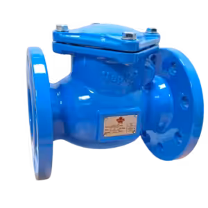MV30 311D IMG